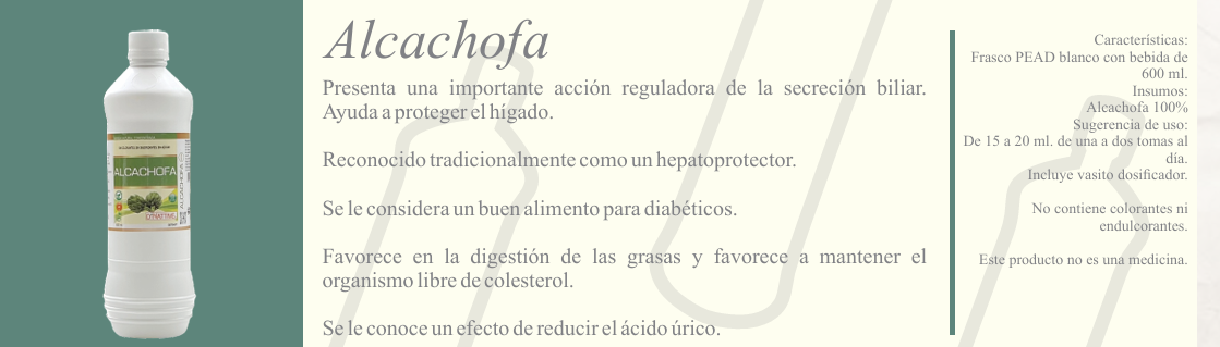 Alcachofa 600mL - Extracto - Imagen 2