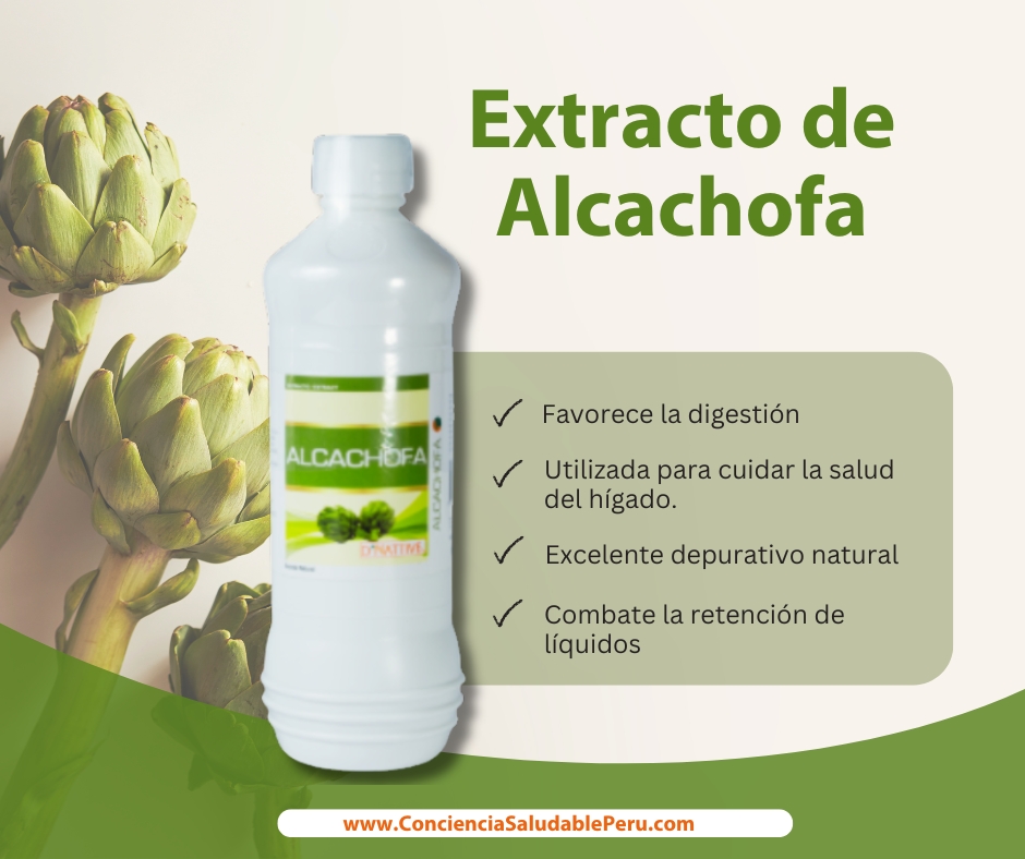 Alcachofa 600mL - Extracto - Imagen 3